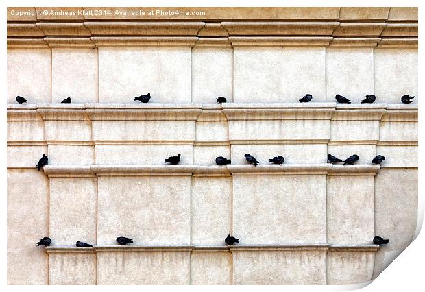 Pigeon post Print by Andreas Klatt