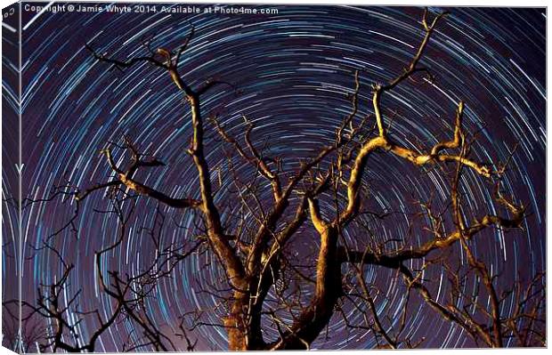 Star Trails Canvas Print by Jamie Whyte