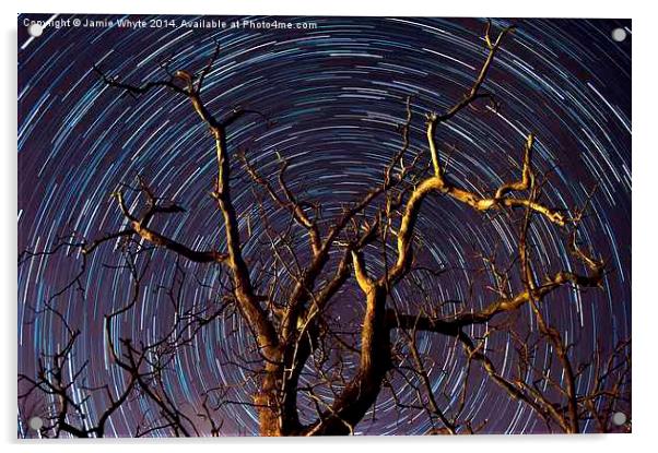 Star Trails Acrylic by Jamie Whyte