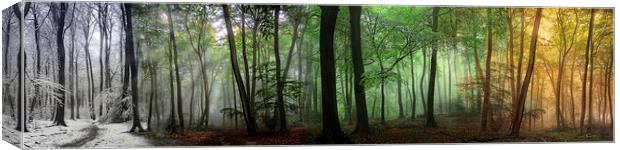 The Seasons of the Forest Canvas Print by Ceri Jones