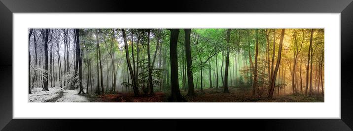 The Seasons of the Forest Framed Mounted Print by Ceri Jones