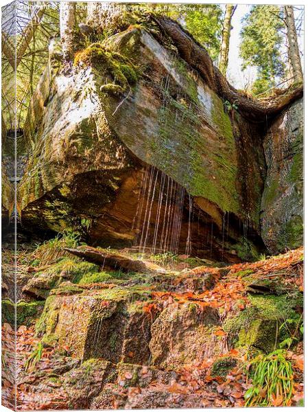 Sankenbach Waterfall, Black Forest, Germany Canvas Print by Mark Bangert
