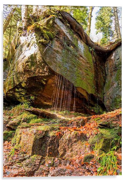 Sankenbach Waterfall, Black Forest, Germany Acrylic by Mark Bangert
