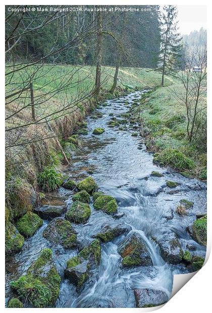 Sankenbach Waterfall, Black Forest, Germany 2 Print by Mark Bangert