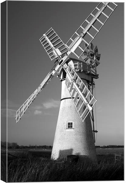 Thurne Windmill Canvas Print by Steve Hardiman