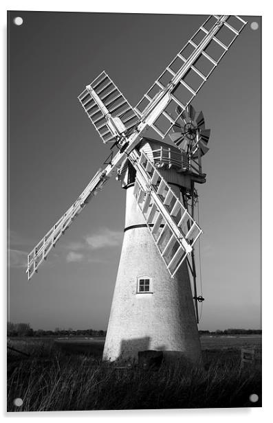Thurne Windmill Acrylic by Steve Hardiman
