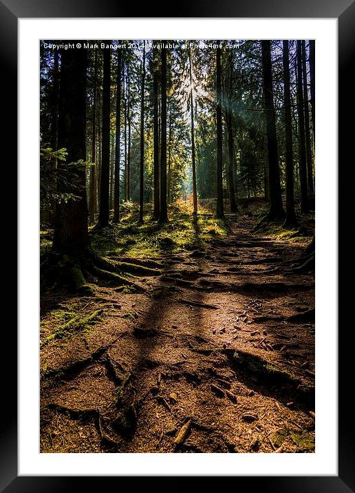 Black Forest near Baiersbronn, Germany Framed Mounted Print by Mark Bangert