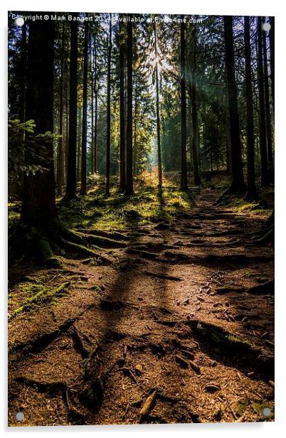 Black Forest near Baiersbronn, Germany Acrylic by Mark Bangert