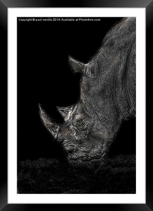 Rhino Framed Mounted Print by paul neville