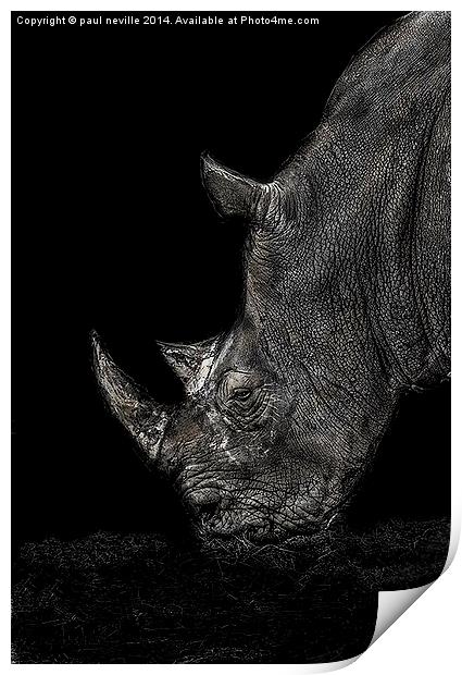 Rhino Print by paul neville