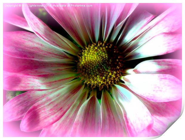 The Beauty Within Print by Bill Lighterness