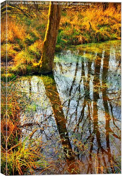 Reflections on the Pond Canvas Print by Martyn Arnold