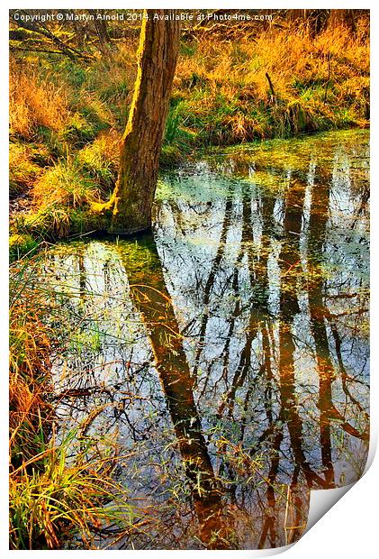 Reflections on the Pond Print by Martyn Arnold