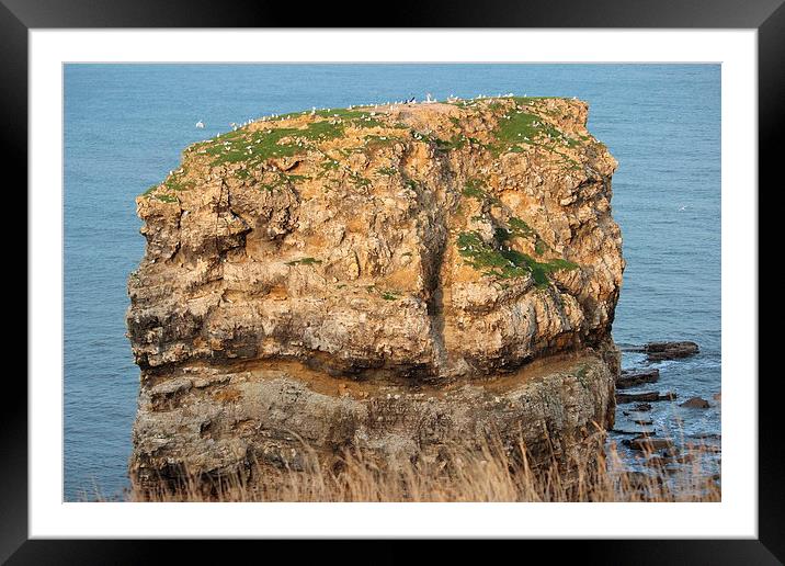 Marsden Rock Framed Mounted Print by Rob Seales