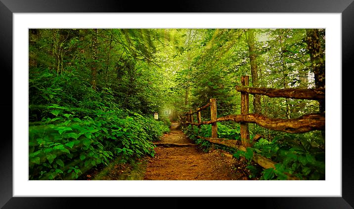 Appalachian Trail at Newfound Gap Framed Mounted Print by Stephen Stookey