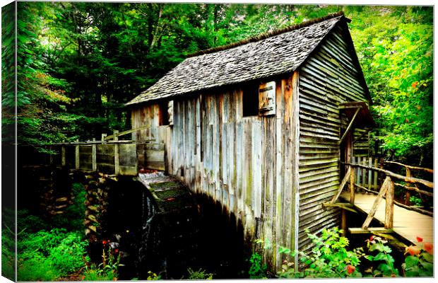 Cades Cove Mill in Great Smoky Mountain National P Canvas Print by Stephen Stookey