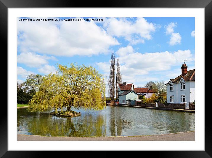 Village pond Dunmow Framed Mounted Print by Diana Mower