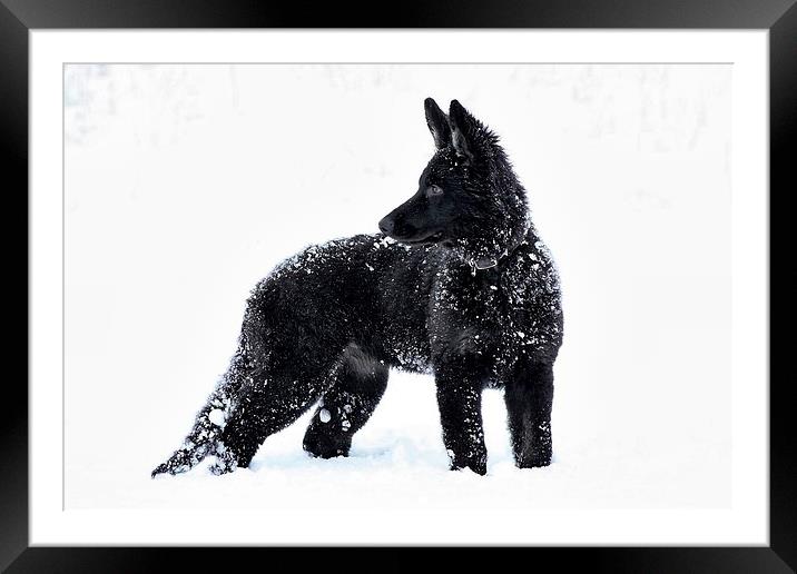 First Snowfall Framed Mounted Print by Richard Cruttwell