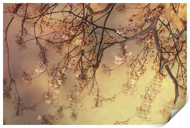 Under the Blossom Tree Print by Dawn Cox