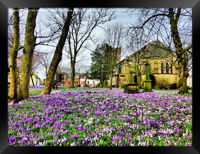 Springtime at St Chads. Framed Print by Lilian Marshall