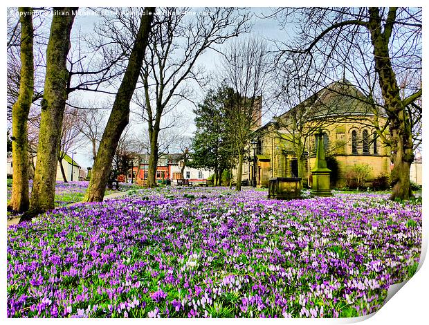Springtime at St Chads. Print by Lilian Marshall