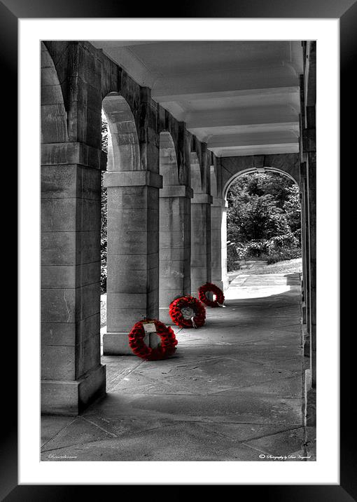 Rememberance Framed Mounted Print by Dave Hayward