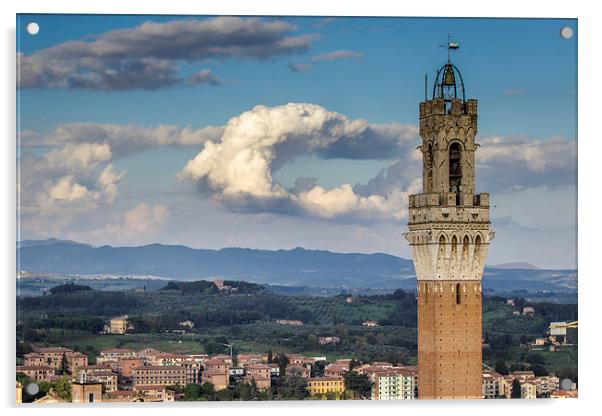 Siena - Torre Del Mangia Acrylic by Andy McGarry