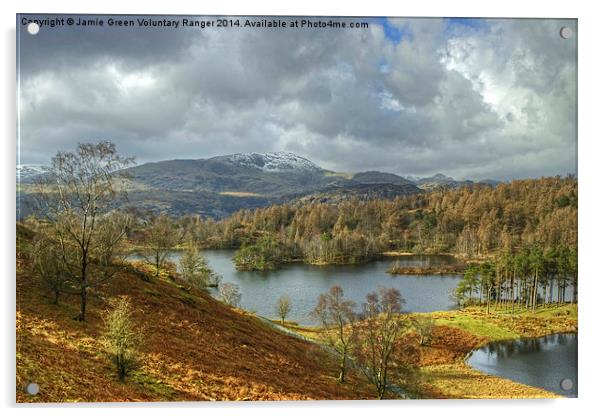 Tarn Hows,The Lake District Acrylic by Jamie Green