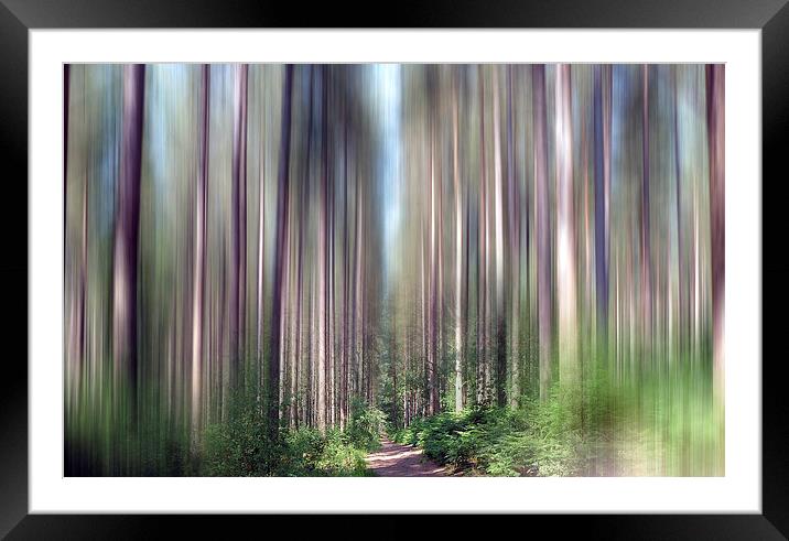 Pine forest Framed Mounted Print by Valerie Anne Kelly