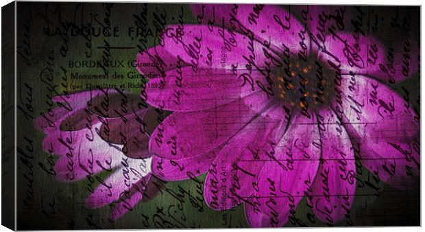S is for Sorry, F is for Flowers Canvas Print by stewart oakes