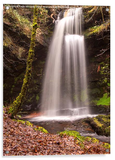 Glenburn Waterfall Acrylic by Peter Mclardy