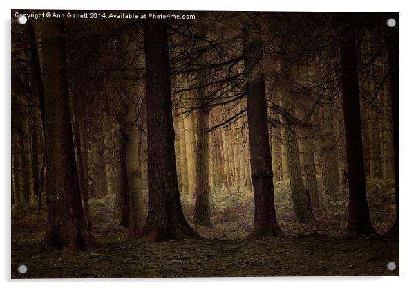 Deep in the Forest Acrylic by Ann Garrett