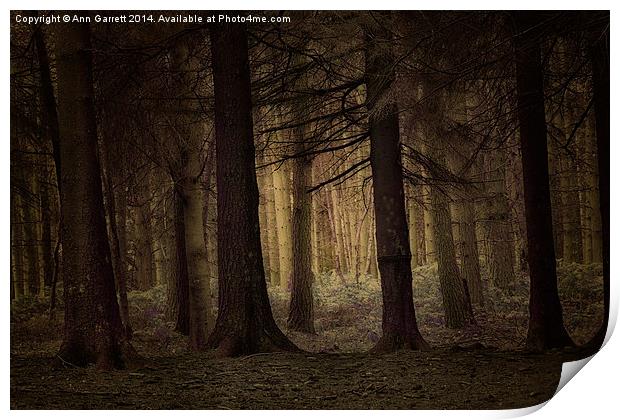 Deep in the Forest Print by Ann Garrett