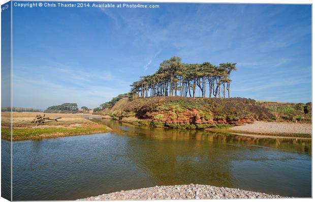 Dragons Back Budleigh Salterton Canvas Print by Chris Thaxter