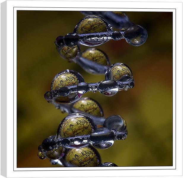 EARTH IN THE DROPS  Canvas Print by Jovan Miric
