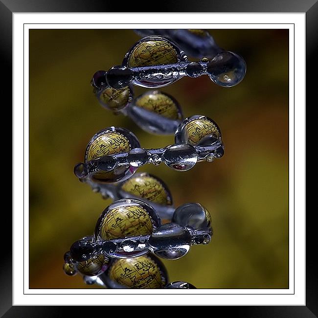 EARTH IN THE DROPS  Framed Print by Jovan Miric