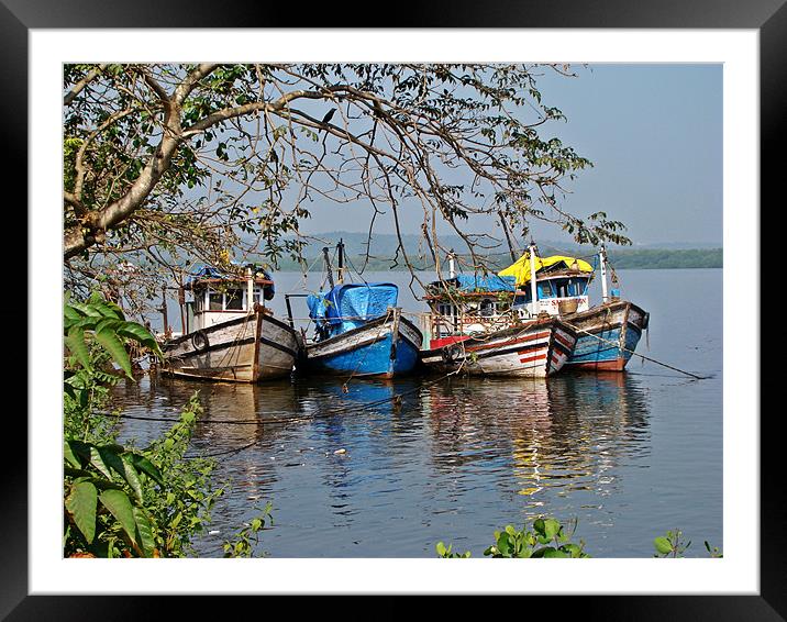 Anchored fishing boats in Goa Framed Mounted Print by Susmita Mishra