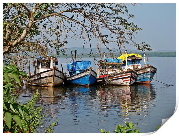Anchored fishing boats in Goa Print by Susmita Mishra