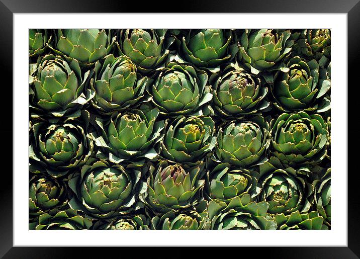 Delicious Artichokes Framed Mounted Print by Jacqueline Burrell