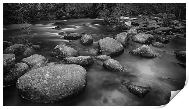 River Dart at Badgers Holt Print by Nigel Jones