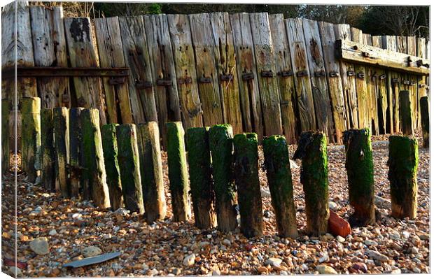 old beach fence at gurnard Canvas Print by Rhona Ward