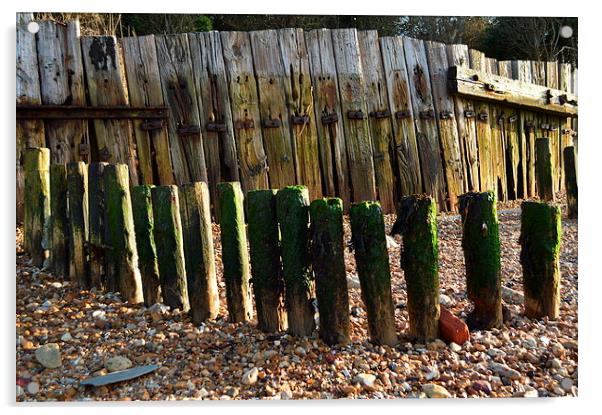 old beach fence at gurnard Acrylic by Rhona Ward