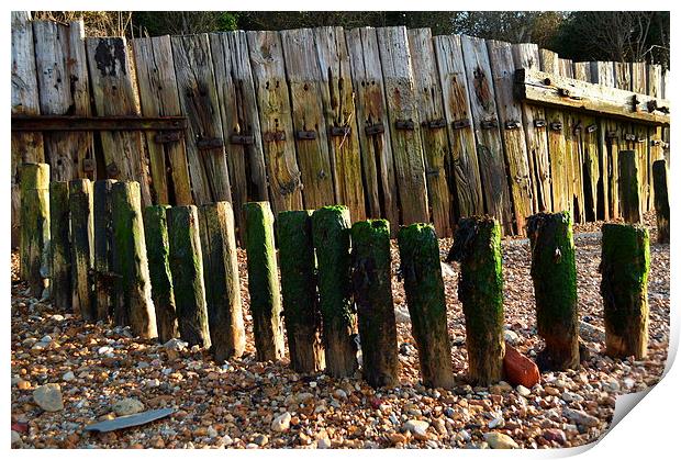 old beach fence at gurnard Print by Rhona Ward