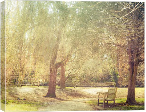 Under the Tree in Spring Canvas Print by Dawn Cox