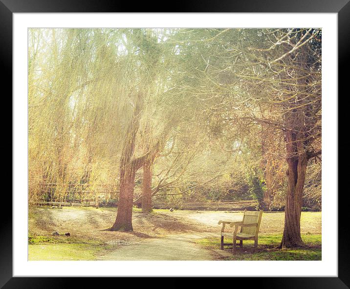 Under the Tree in Spring Framed Mounted Print by Dawn Cox