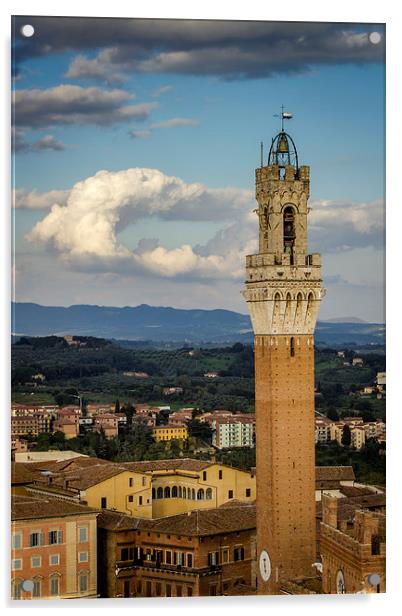Torre Del Mangia - Siena Italy Acrylic by Andy McGarry