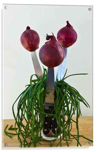 RED ONIONS Acrylic by David Pacey