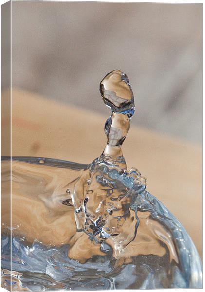WATER DROP Canvas Print by David Pacey