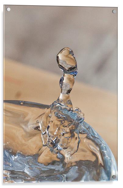 WATER DROP Acrylic by David Pacey