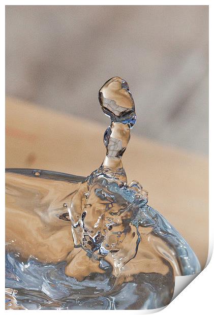 WATER DROP Print by David Pacey